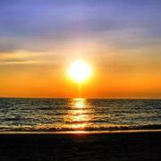 梦为努力浇水的个人资料头像