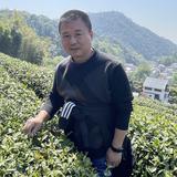 江南豆爷头像