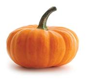 kibbo的个人资料头像