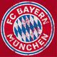 忠灬Bayern头像