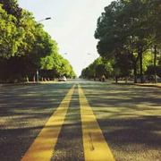 Y木扬音的个人资料头像