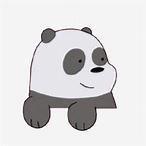 Saber的个人资料头像