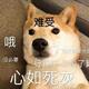 I藤原拓海I头像