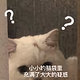 井原S头像