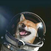 yzy497的个人资料头像