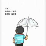 旅行家达西头像