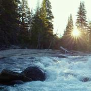 Alois的个人资料头像