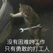 辰九的个人资料头像
