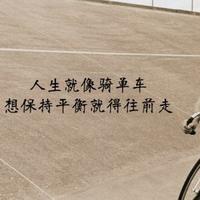 孙强4768头像