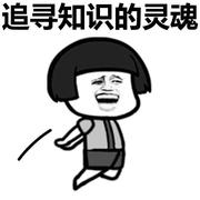 程序丁的个人资料头像
