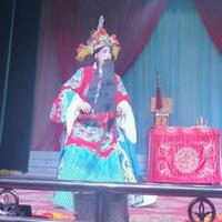 淡定菠萝Vp头像