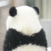 BreezeQvQ的个人资料头像