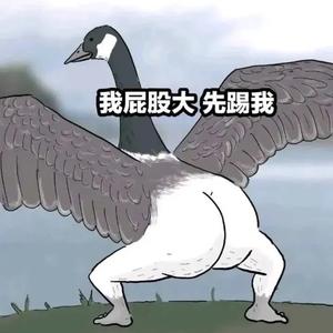 前夫带你看世界头像