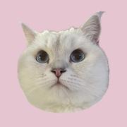 3th4n的个人资料头像