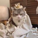 sure酱107442的个人资料头像