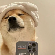 阿新与阿一的个人资料头像