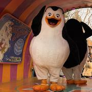 yysalad的个人资料头像