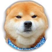 狗弟弟的个人资料头像