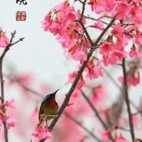 直率沙滩Mvz头像