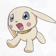 橘子树618的个人资料头像