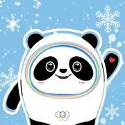 Colorful437的个人资料头像