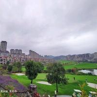 一滴水一片湖头像