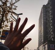 Ying是绿肥红瘦的个人资料头像