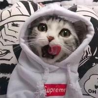 台州阿维塔销售小舒头像