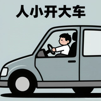 人小开大车头像