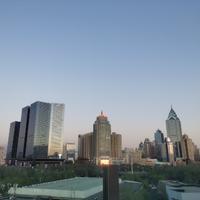 憨憨的石籽头像