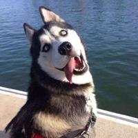 怀揣梦想KkO3头像