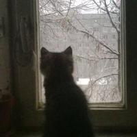 灵敏溪水QRX头像