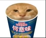 一水行的个人资料头像