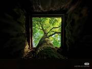 不知道取什么的个人资料头像