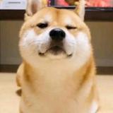 Chenyurm头像