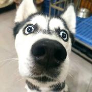 名字586的个人资料头像