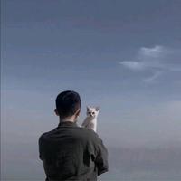 淡定嘟嘟猫头像