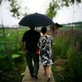 枫林雨苑头像