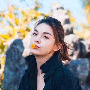 张榕容有哪些代表作品（张榕容是怎么走红火的）