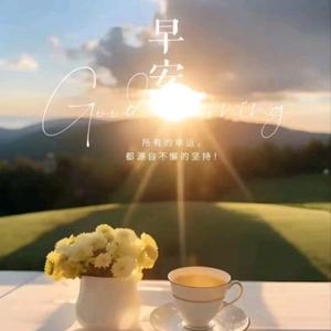 小君说事413头像