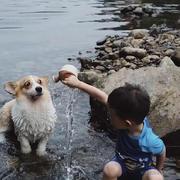 不略困的个人资料头像