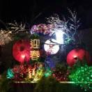 小黑轮的把拔的个人资料头像