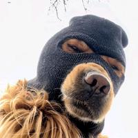 再牛的肖邦也弹不出爷的忧傷头像