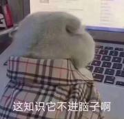 用户726595659163的个人资料头像