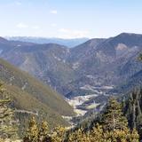 37度温水丶头像