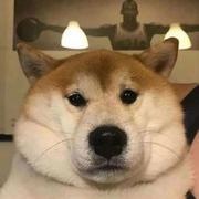 用户8672430485559的个人资料头像