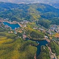 幕阜山之鹰头像