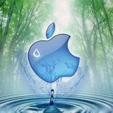 Apple专卖玲珑数码头像
