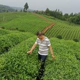 外向原野ySa头像