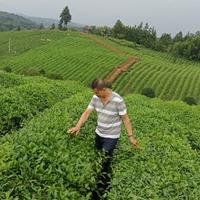 外向原野ySa头像